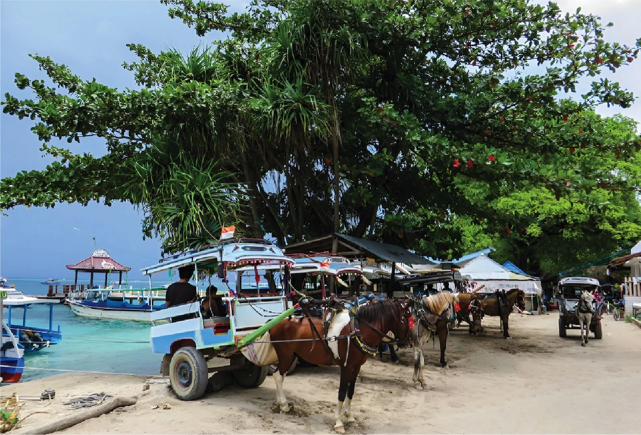 Getting to the Island